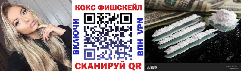 COCAIN Fish Scale Купить где Стародуб