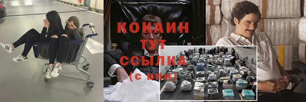 тгк Няндома