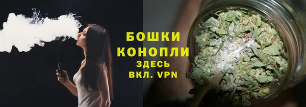 тгк Няндома