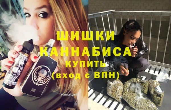 тгк Няндома