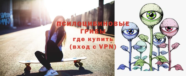 тгк Няндома