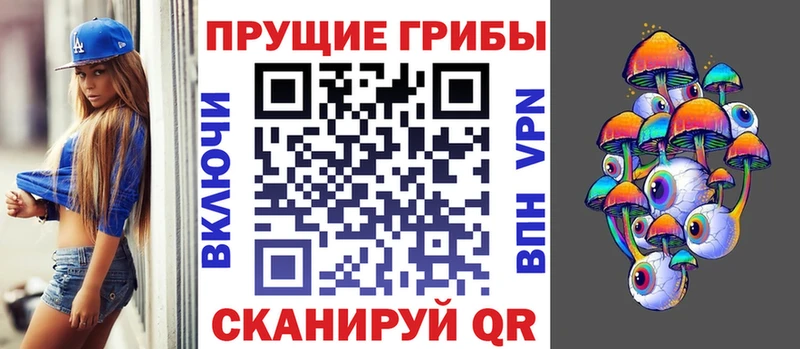 Псилоцибиновые грибы GOLDEN TEACHER Купить где Стародуб
